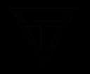 VTEAM Logo